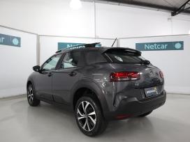 C4 CACTUS SHINE PACK